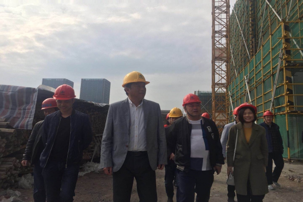 蓮都區(qū)人大常委會副主任陳魯軍視察城西小學